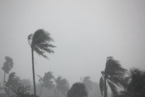 rainy location needing Hurricane Insurance