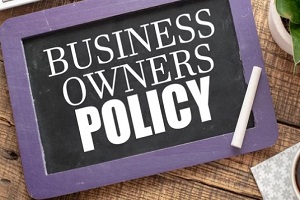 Hawaii business owner policy written on board