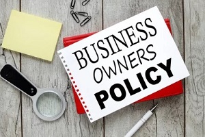 Hawaii business owner policy with other stuff