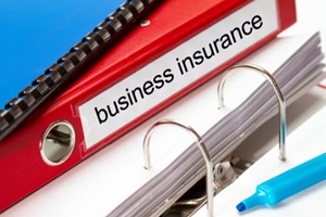 Hawaii small business insurance file