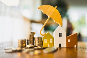 picture of a house model in Hawaii and a pile of money with a umbrella symbol on top