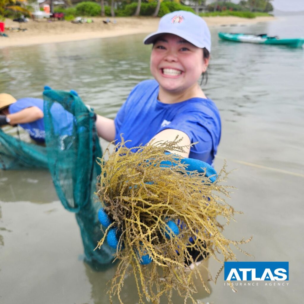 this is a picture of one of Atlas Insurance employees at the KUPU and Malama Maunalua Beach cleanup event 2024