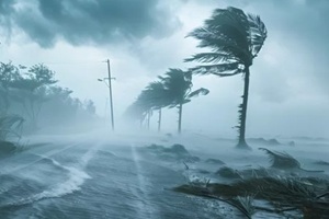 hurricane reached Hawaii business