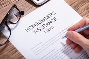 Person Reading Homeowners Insurance Policy Document